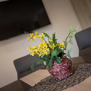 mokka-apartman-szeged.szeged-hotels.com/